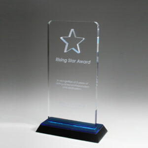 RESTM CUT-OUT STAR AWARD